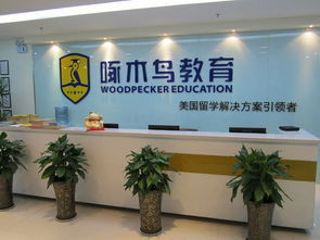 教育咨詢公司的經營范圍與出國留學業務解析